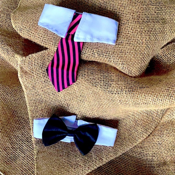 Cat & Dog Neck Tie Collar - Picture 1 of 8